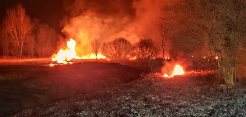 Pożar nieużytków w powiecie. Akcja służb