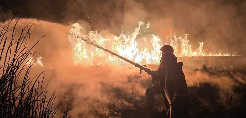 Lawina pożarów traw. Znamy statystyki