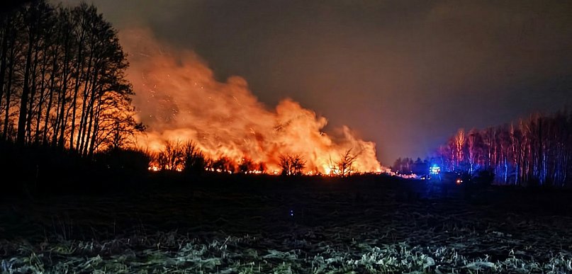 Pożar na granicy Malinia i Tuszowa!