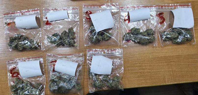 33-letni mielczanin odpowie za posiadanie narkotyków