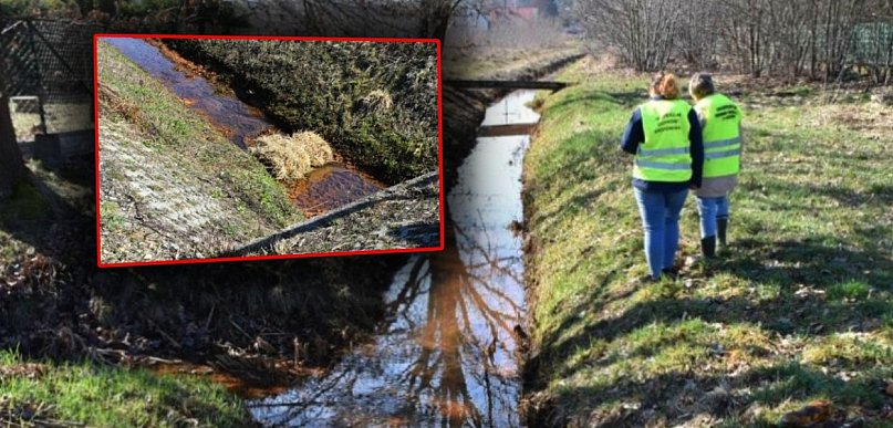 Skażenie kanału pod Mielcem? Jest komunikat WIOŚ