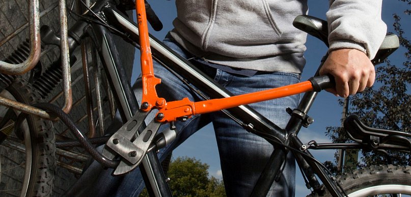 Kradzież i sprawna akcja policji. Dwóch mielczan usłyszało zarzuty