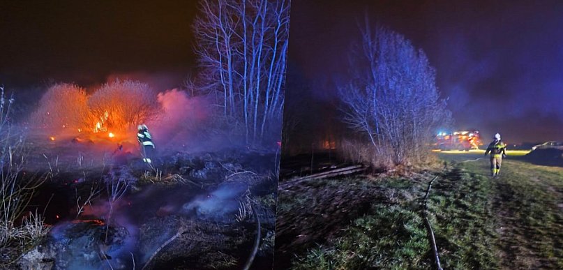 Trwa seria pożarów traw. Interwencja w Trzcianie
