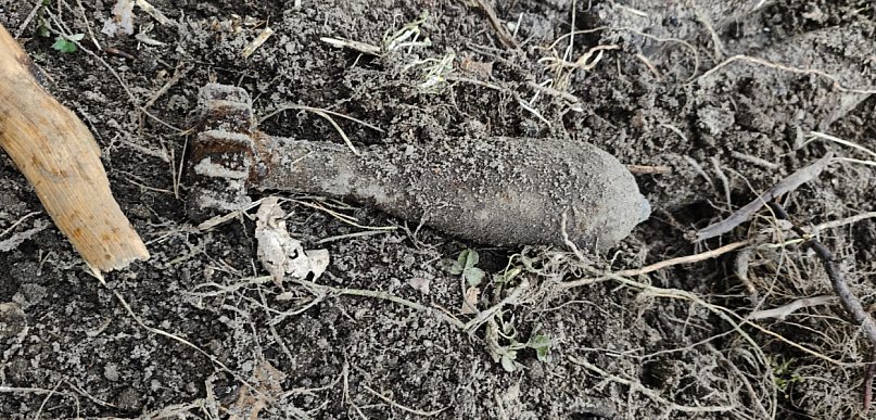 Policja pilnuje znaleziska w Dobryninie