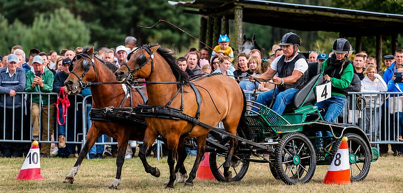 XVII Parada Konna w Żarówce już w niedzielę!