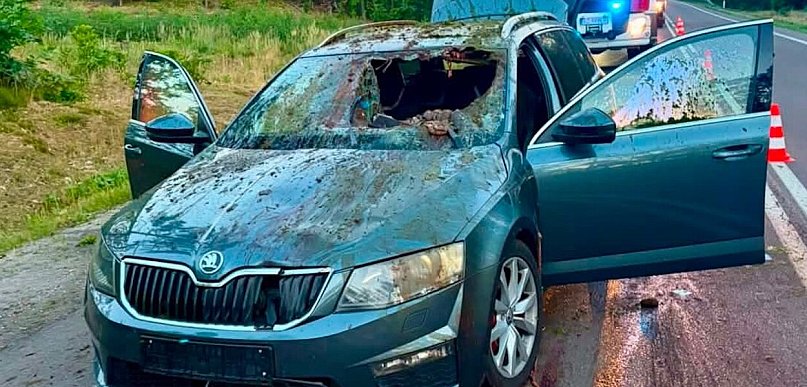 Zderzenie z łosiem pod Mielcem. Jedna osoba w szpitalu