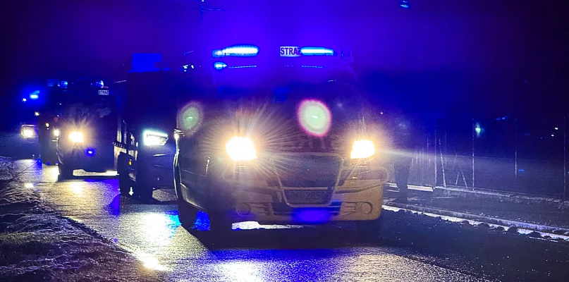 Tragedia w gminie Borowa. Dwie ofiary pożaru samochodu [NOWE FAKTY] - 103864