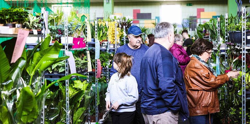 Targi Roślin trwają w hali SP7 Mielec [WIDEO, FOTO]