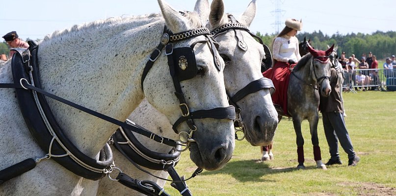 Trwa XVII Parada Konna w Żarówce [FOTO]