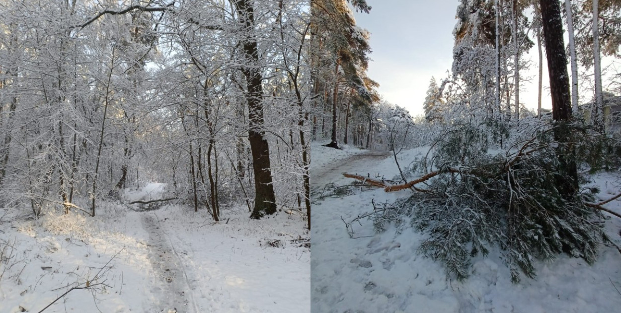 Fot. Magdalena Różycka