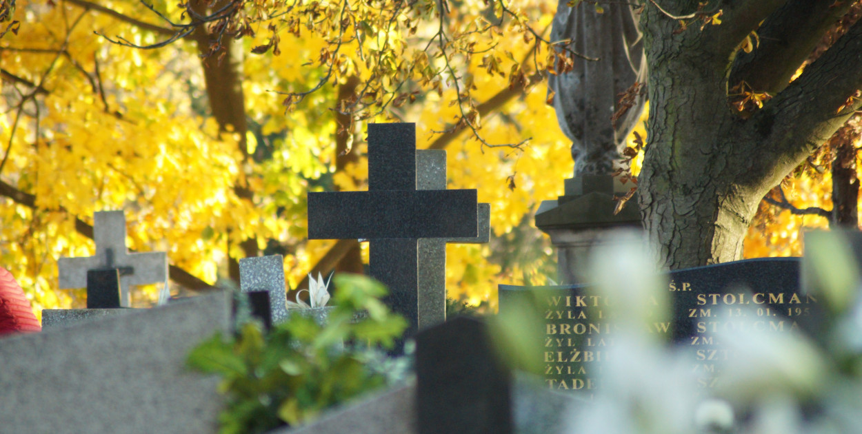 Fot. Natalia Seklecka