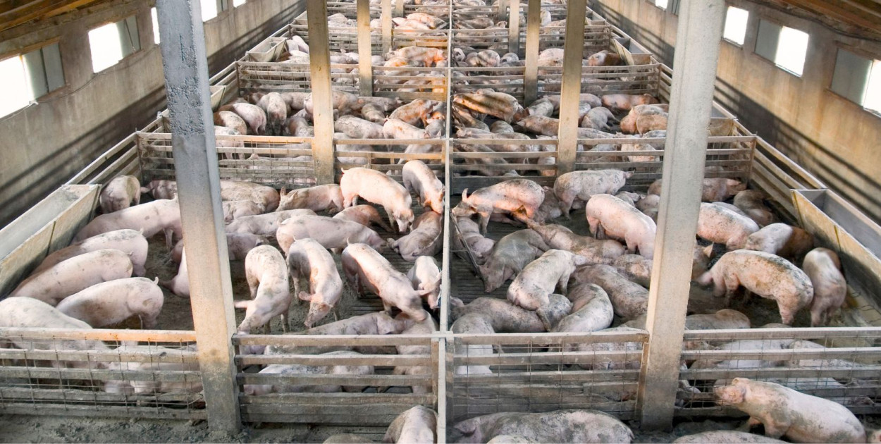 Zdjęcie ilustracyjne.