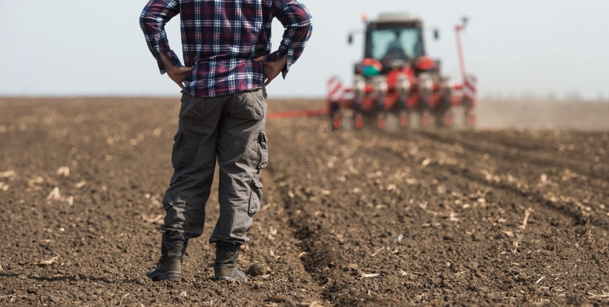 Zdjęcie ilustracyjne.