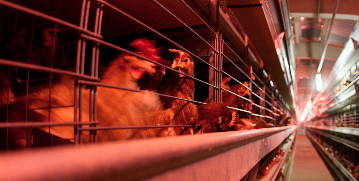 Zdjęcie ilustracyjne.