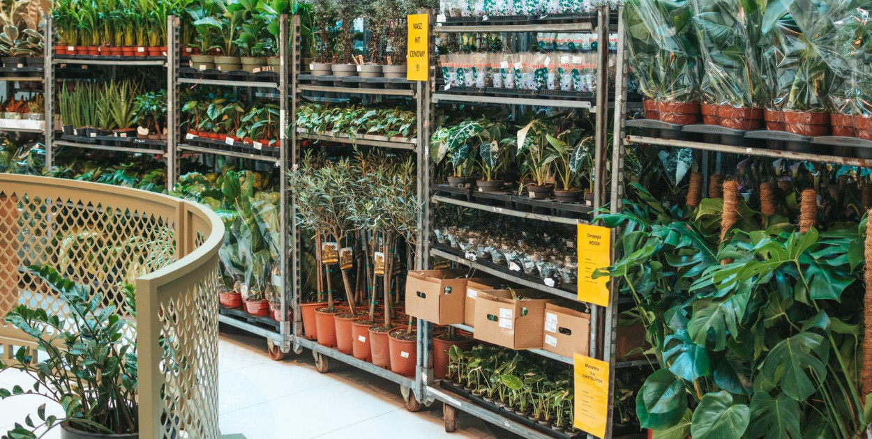 Wielkie Targi Roślin w Mielcu – wiosenny festiwal zieleni