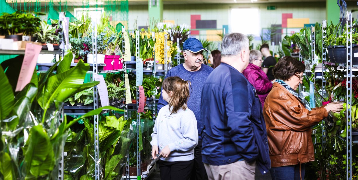 Targi Roślin trwają w hali SP7 Mielec [WIDEO, FOTO]