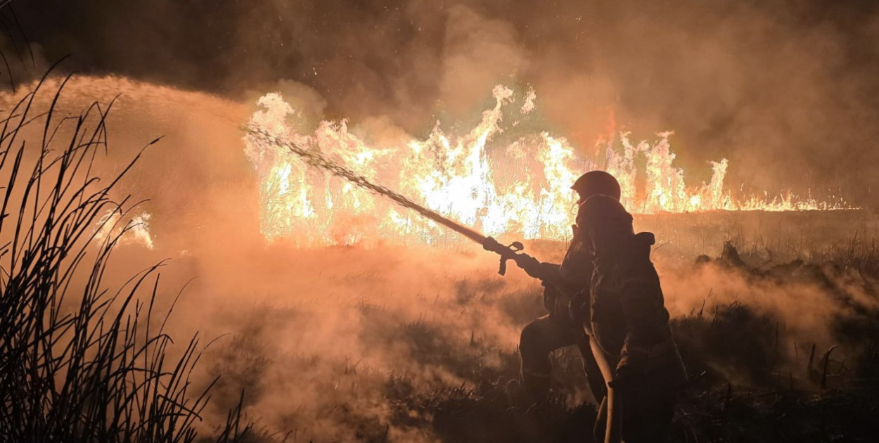 Lawina pożarów traw. Znamy statystyki