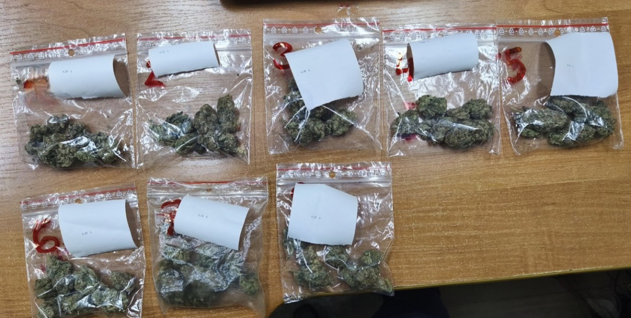 33-letni mielczanin odpowie za posiadanie narkotyków