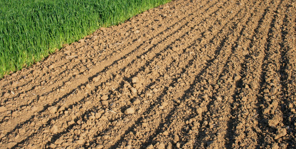 Rolnicy natrafili na niewybuch z II wojny światowej