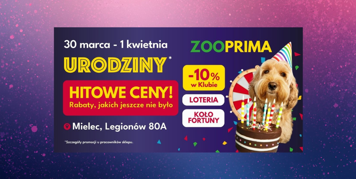Market zoologiczny ZOOPRIMA w Mielcu świętuje 3. urodziny! Hitowe ceny!