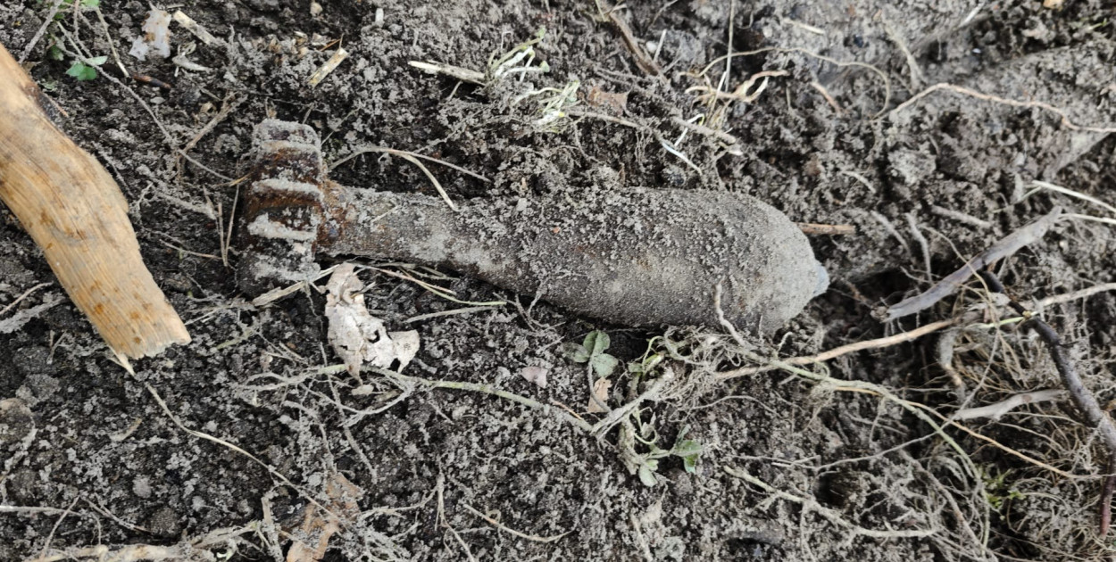 Policja pilnuje znaleziska w Dobryninie