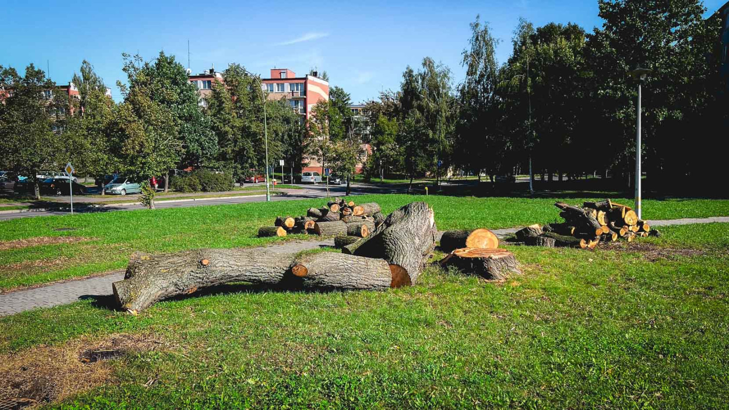 Wycięta wierzba na osiedlu Lotników.