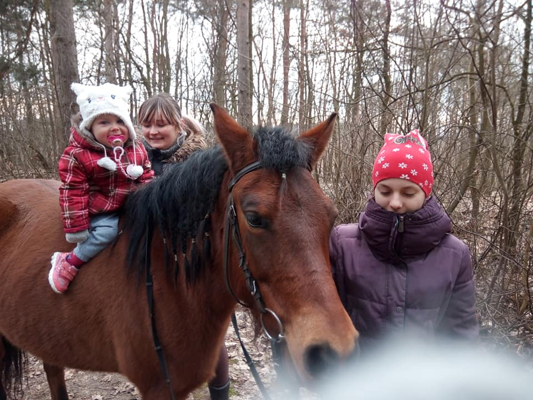 Zajęcia hipoterapii w Ośrodku Rehabilitacji i Rekreacji Konnej 'Złoty Konik' w Jastrzębiu k. Lipna. Fot. kalendarzrolnikow.pl