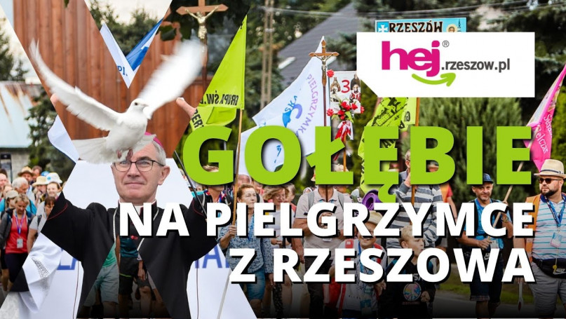 hej.rzeszow.pl TV: Pielgrzymka Rzeszowska 2022 - wypuszczenie gołębi